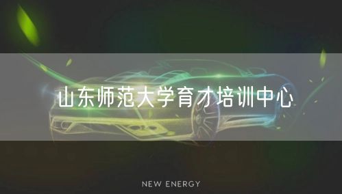 山东师范大学育才培训中心