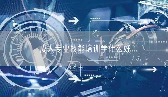 成人专业技能培训学什么好