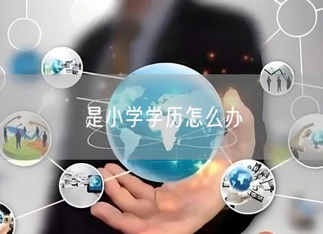 是小学学历怎么办