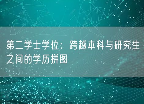 第二学士学位：跨越本科与研究生之间的学历拼图